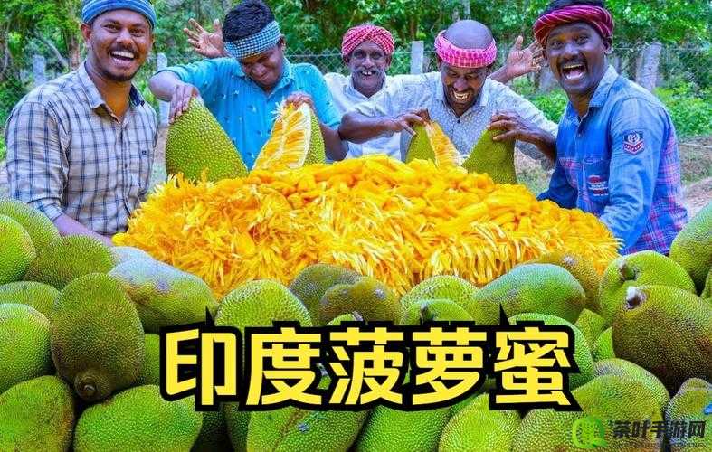 菠萝蜜视频在线观看大全高清：满足您的多样观影需求