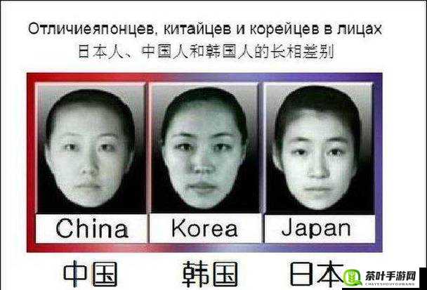 日本人与欧洲人有哪些区别？